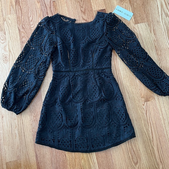 Black Crochet Overlay Balloon Sleeve Dress - Picture 3 of 10